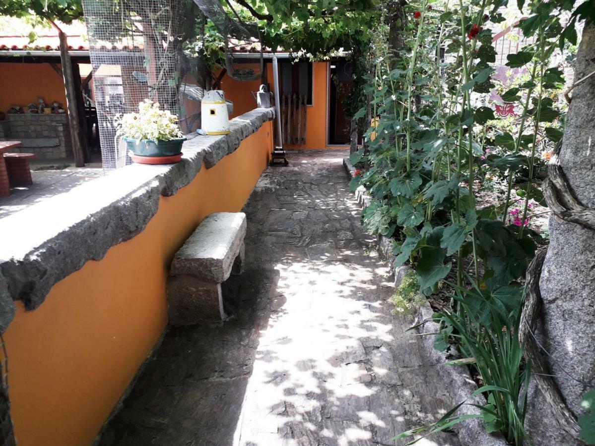 Willa Quinta Da Moagem Macedo de Cavaleiros Zewnętrze zdjęcie